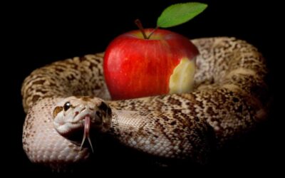 What Is Sin, Really? Seven Ways to Understand Sin
