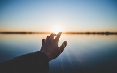 Trust in the Lord With All Your Heart