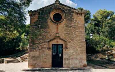 Discerning God’s Will After the Monastery